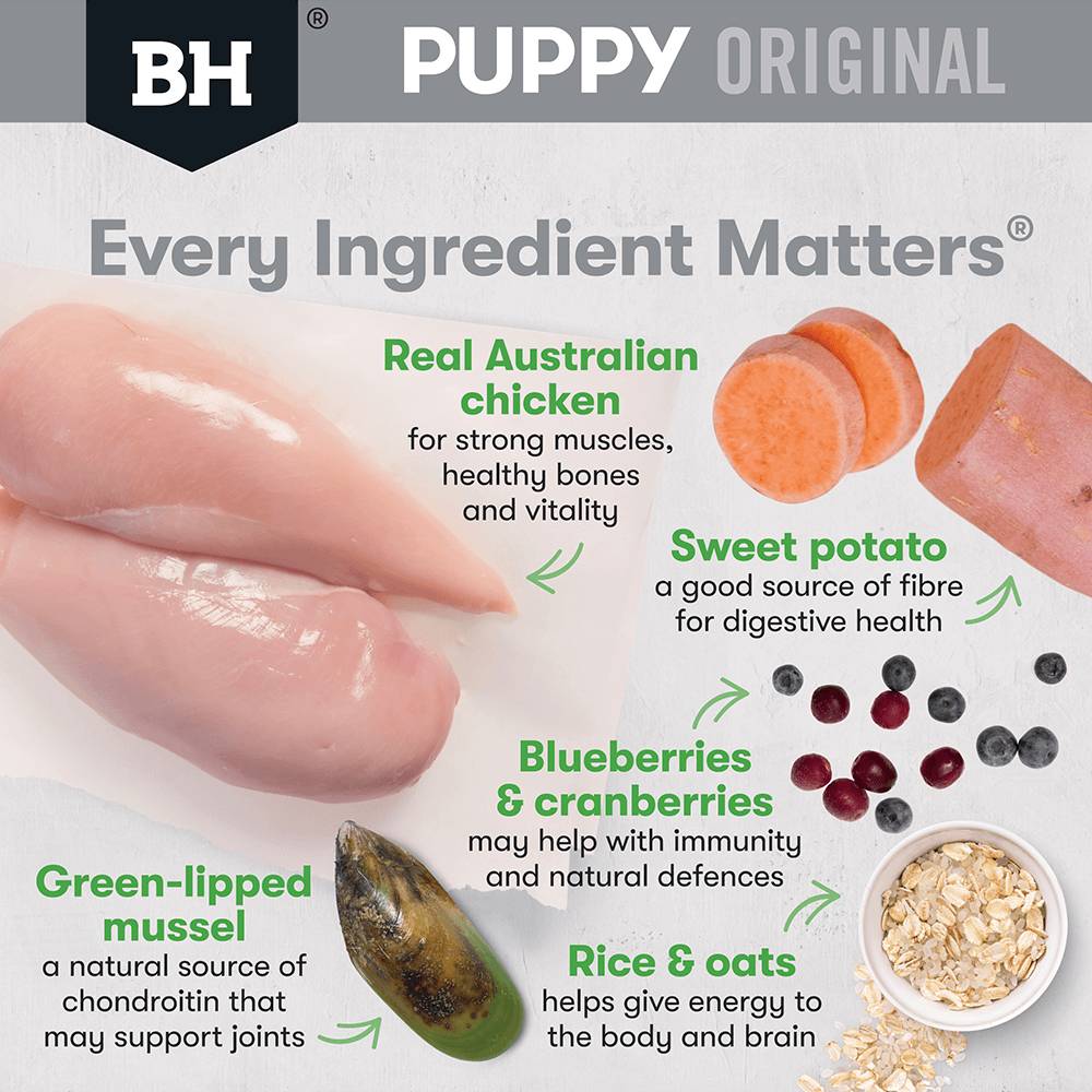 Black Hawk Dog Food Puppy Large Breed Chicken and Rice