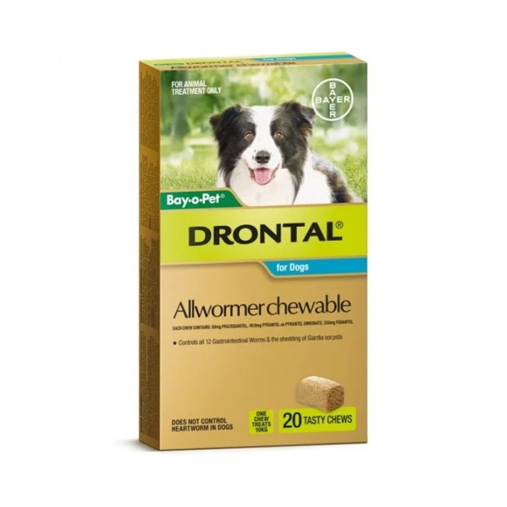 Drontal Allwormer Chew Medium 3-10kg