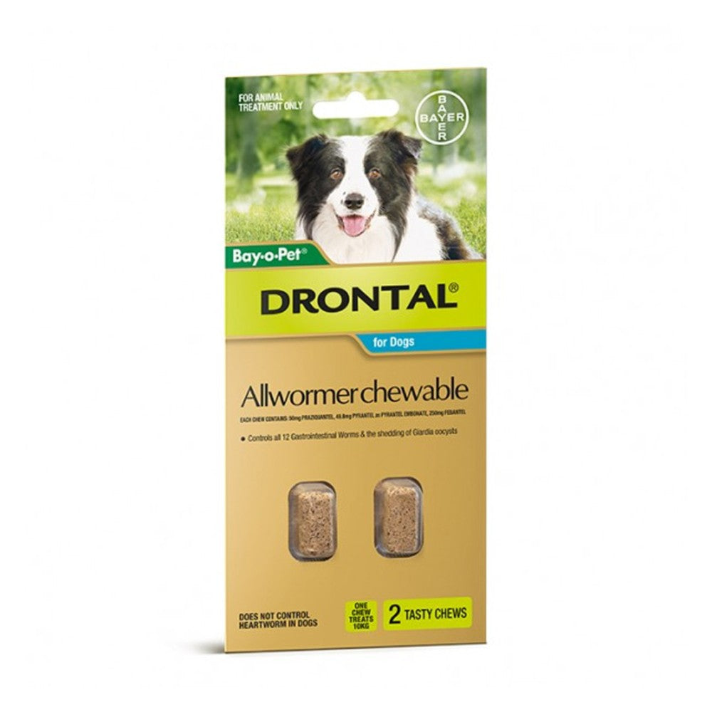 Drontal Allwormer Chew Medium 3-10kg