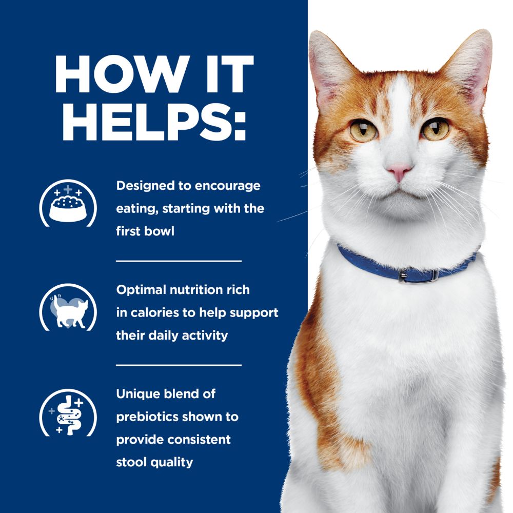Hills Prescription Diet ONC Care Dry Cat Food