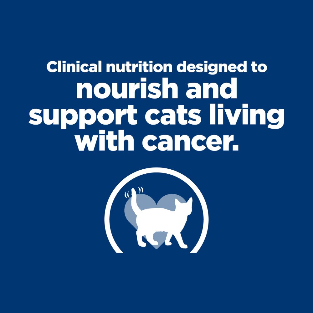 Hills Prescription Diet ONC Care Dry Cat Food