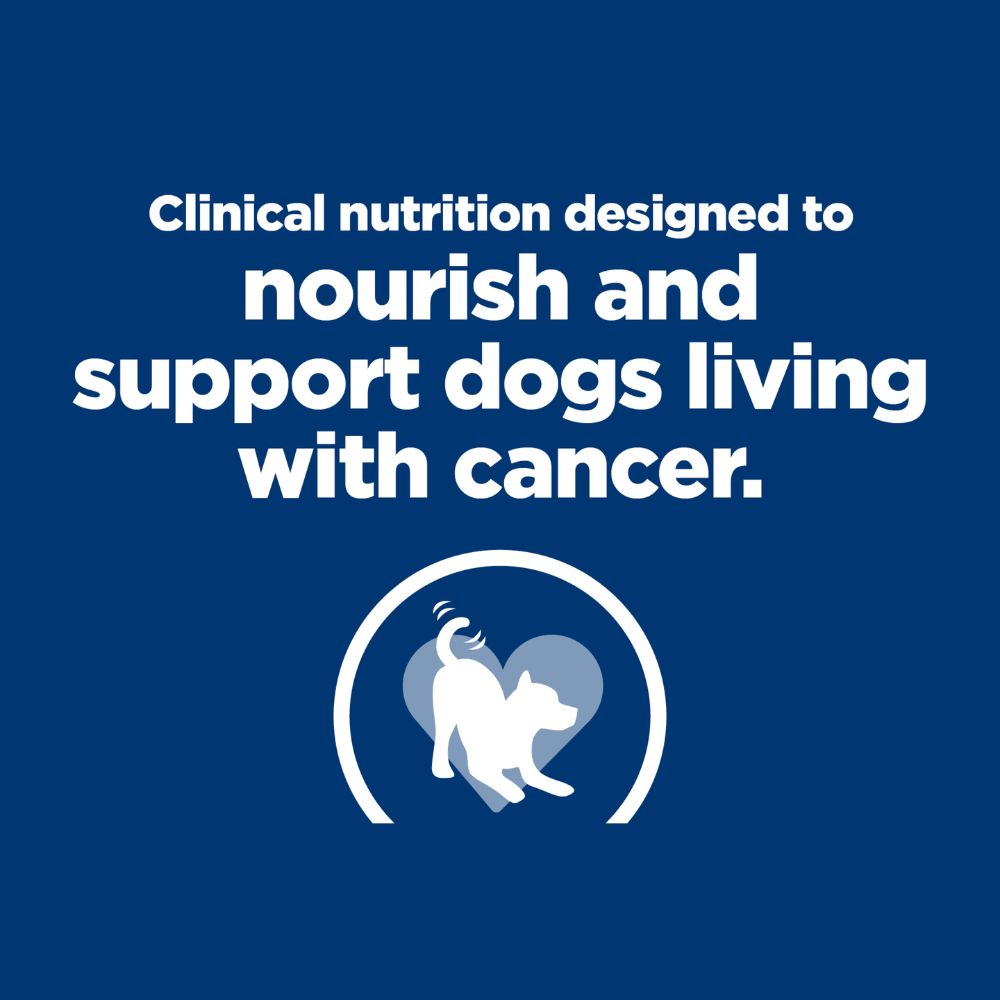 Hills Prescription Diet ONC Care Dry Dog Food