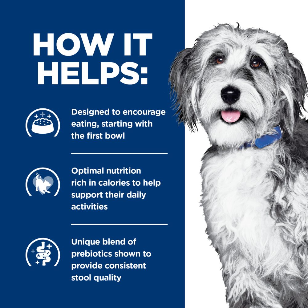 Hills Prescription Diet ONC Care Dry Dog Food