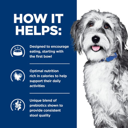 Hills Prescription Diet ONC Care Dry Dog Food