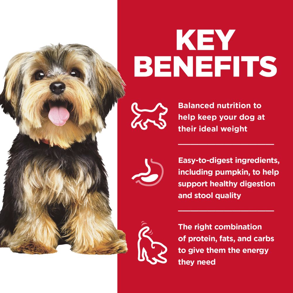 Hills Science Diet Adult Small and Mini Lamb And Rice Dry Dog Food