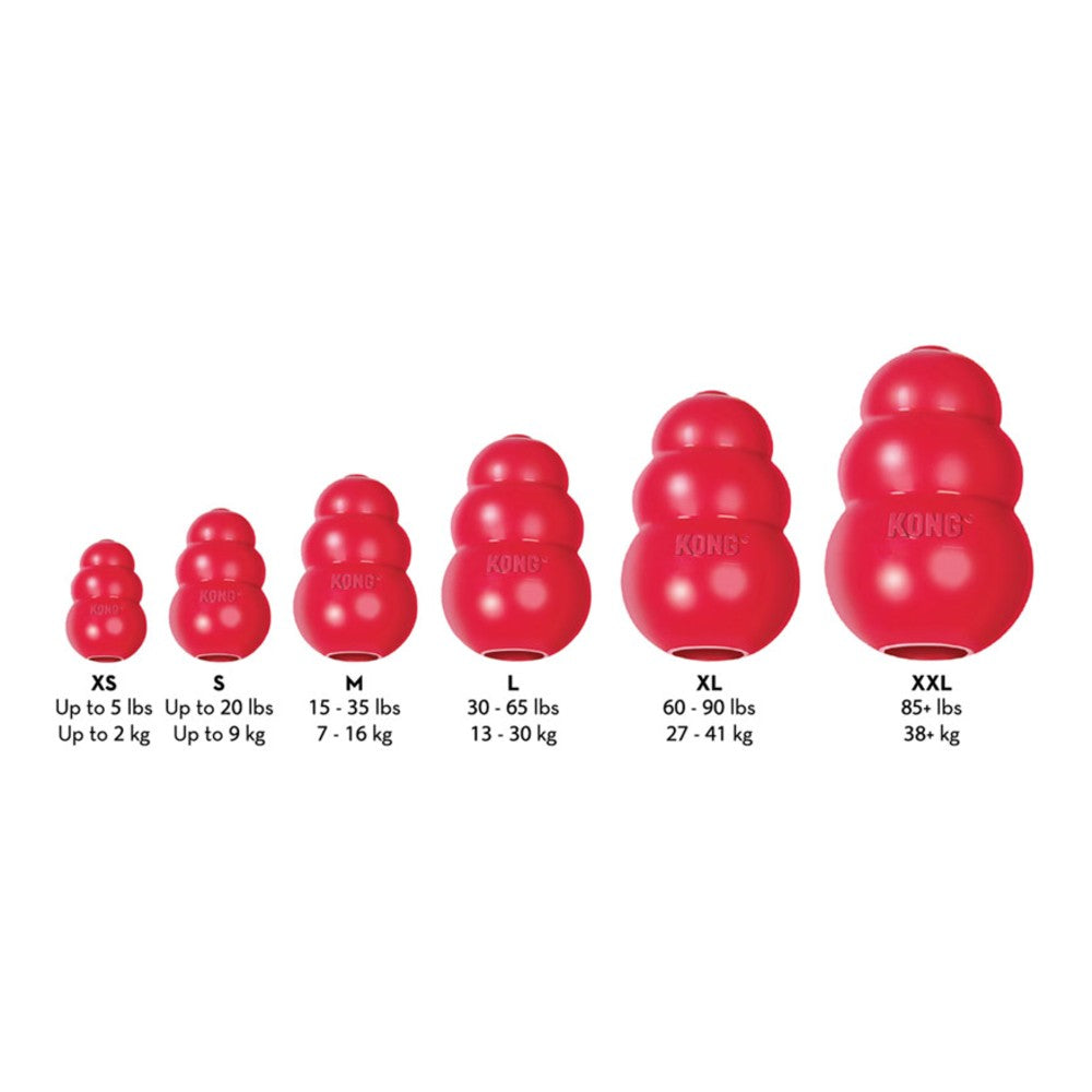KONG Classic