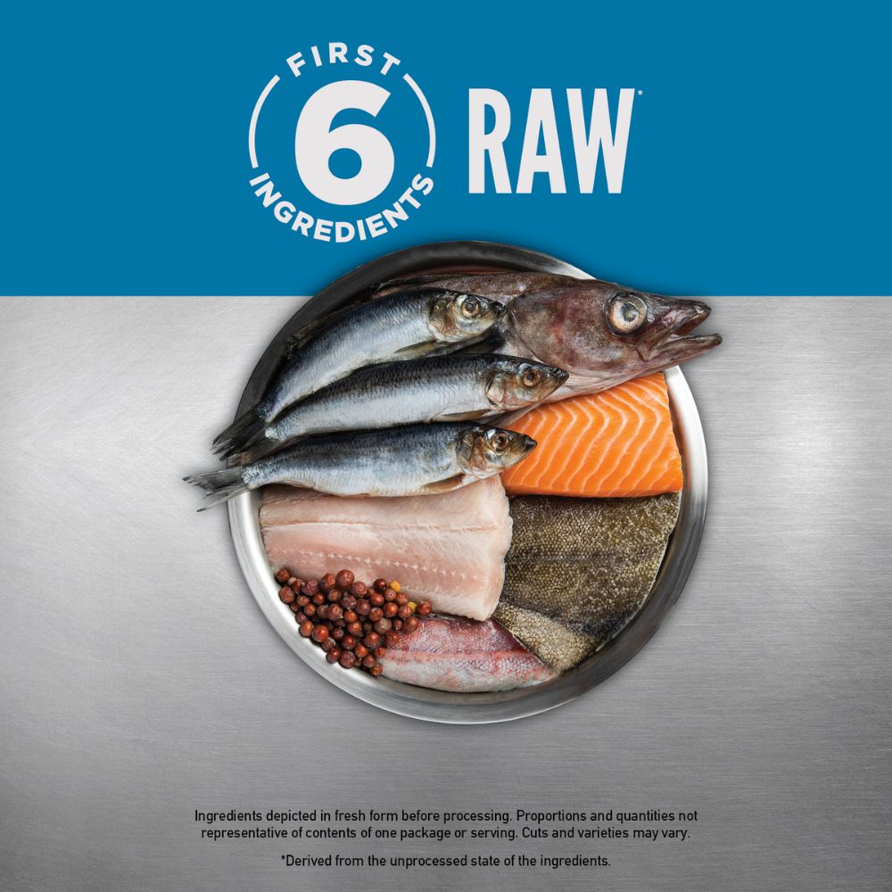Orijen Six Fish Dry Cat Food