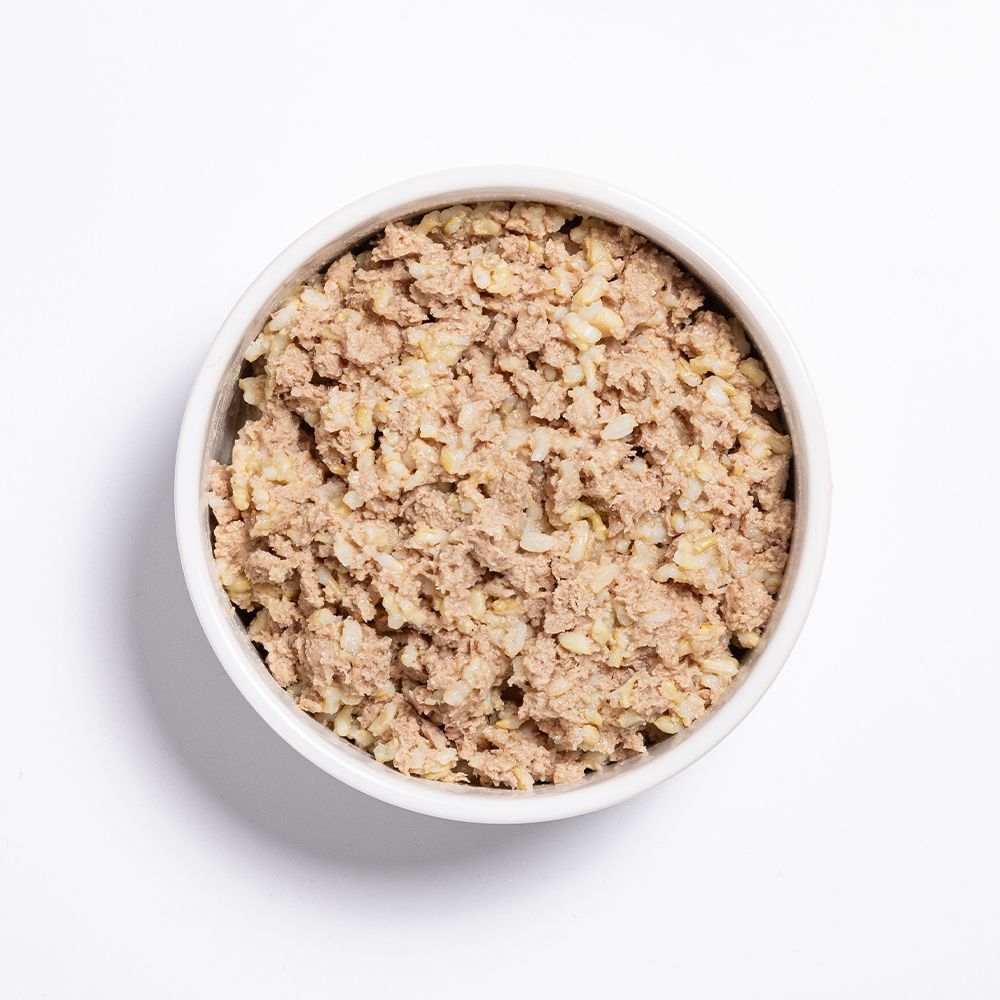 Prime100 SPD Slow Cooked Chicken and Brown Rice Wet Dog Food