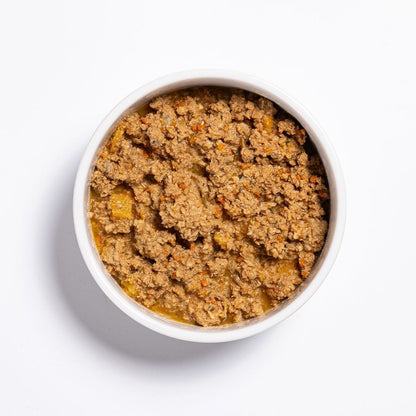 Prime100 SPD Slow Cooked Salmon and Pumpkin Wet Dog Food