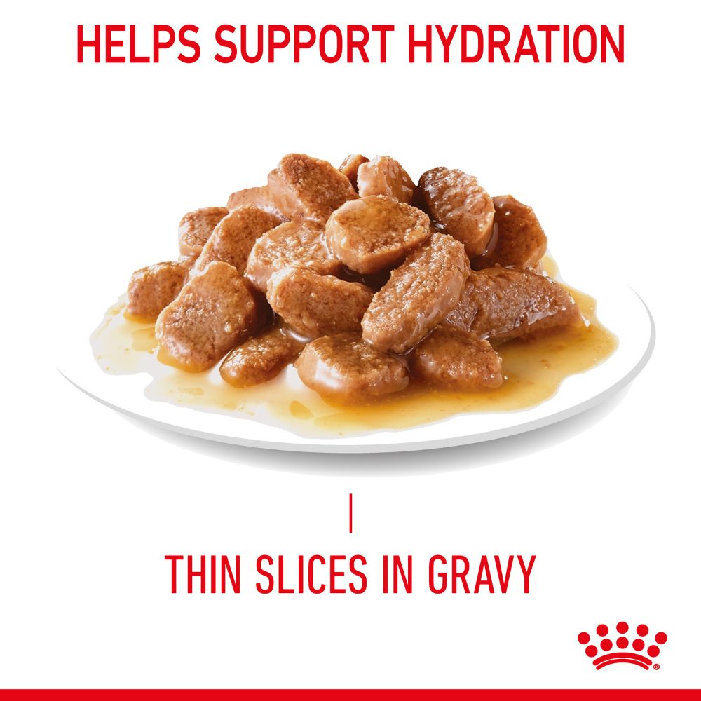 Royal Canin Adult Appetite Control in Gravy