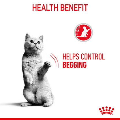 Royal Canin Adult Appetite Control in Gravy