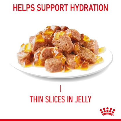 Royal Canin Adult Appetite Control in Jelly