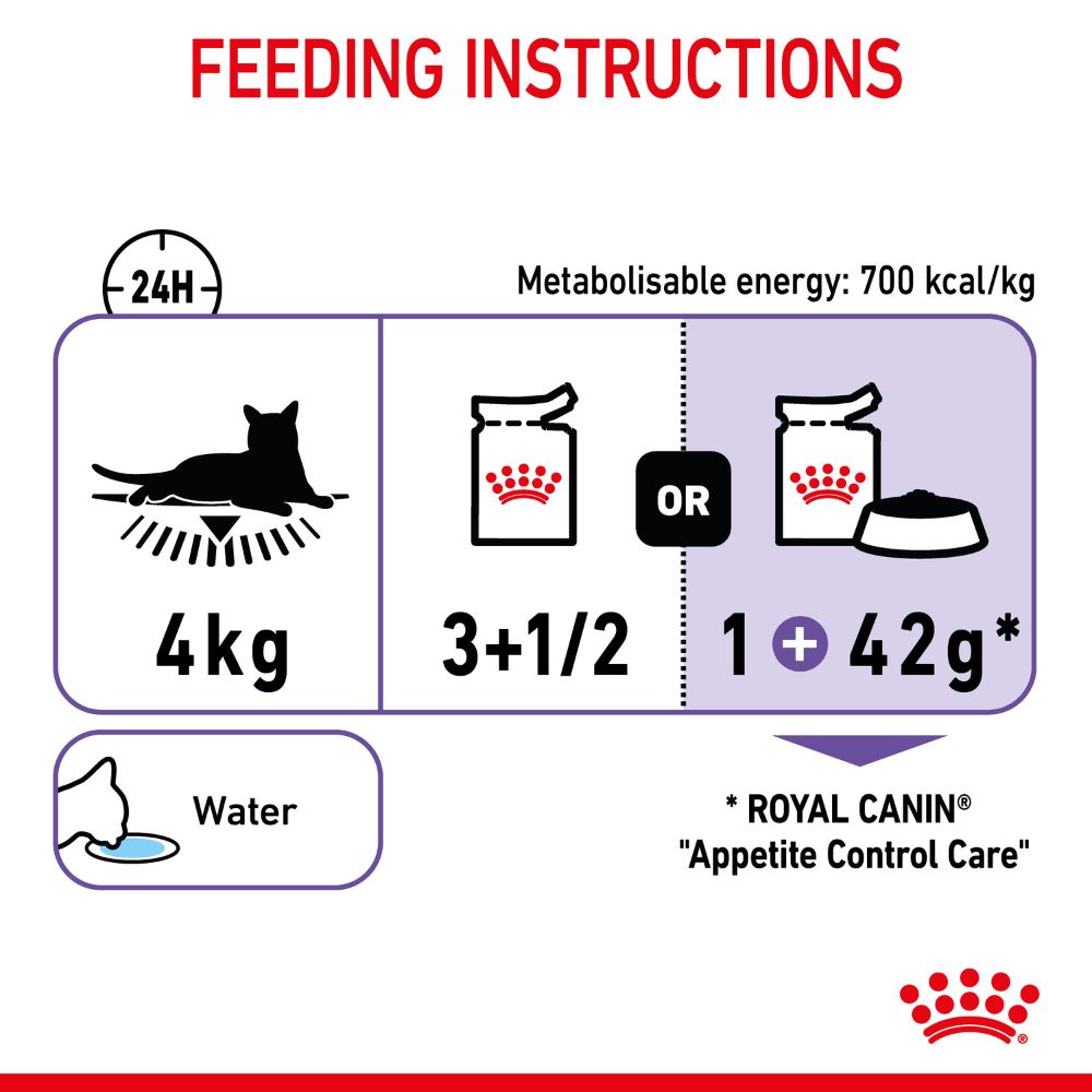 Royal Canin Adult Appetite Control in Jelly