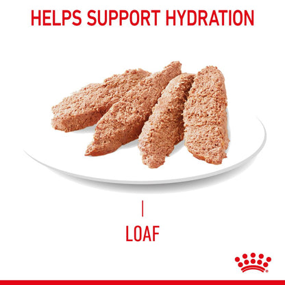 Royal Canin Hair and Skin Care Loaf