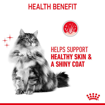 Royal Canin Hair and Skin Care Loaf