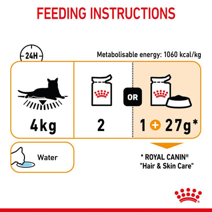 Royal Canin Hair and Skin Care Loaf