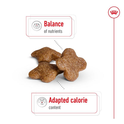 Royal Canin Mini 8+ Years