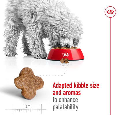 Royal Canin Mini 8+ Years