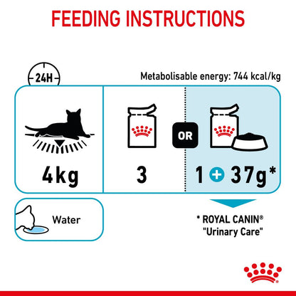 Royal Canin Adult Urinary Care in Jelly