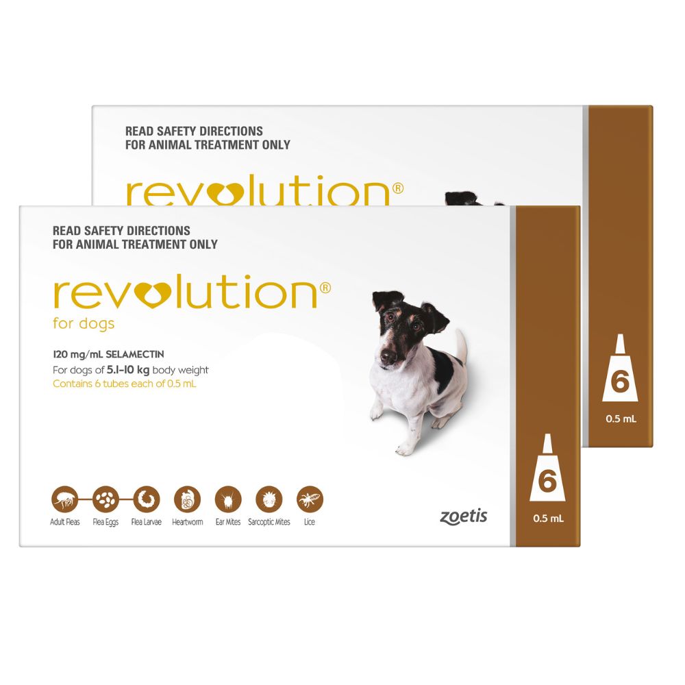 Revolution Brown Small 5.1-10kg