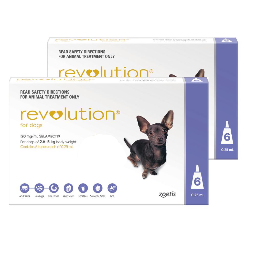 Revolution Purple Extra Small 2.6-5kg