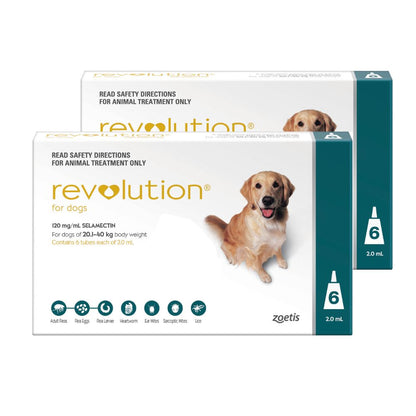 Revolution Teal Large 20-40kg