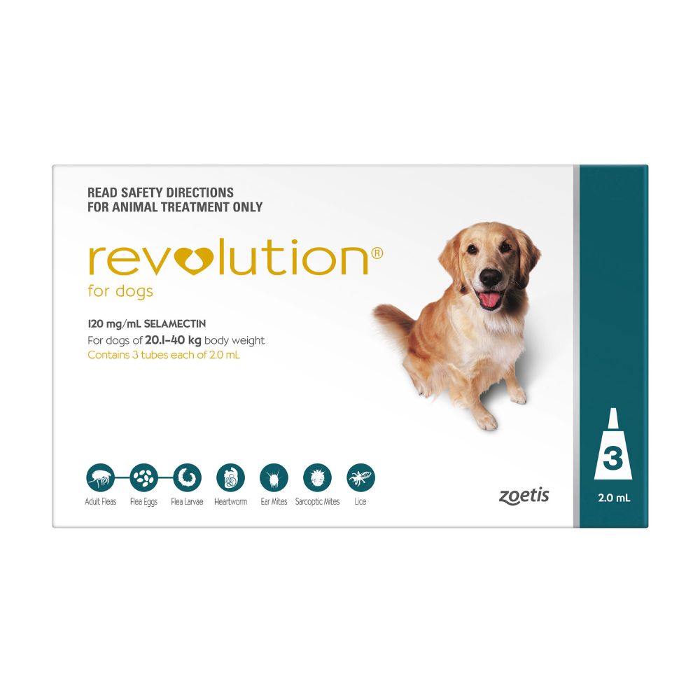 Revolution Teal Large 20-40kg