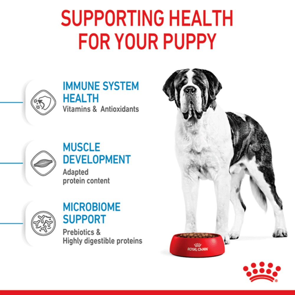 Royal Canin Giant Junior
