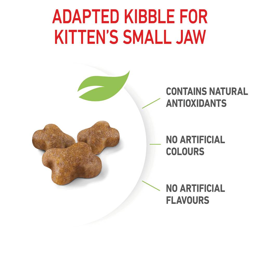 Royal Canin Kitten