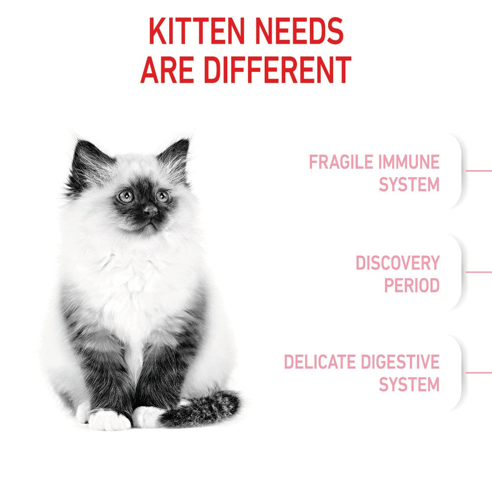 Royal Canin Kitten