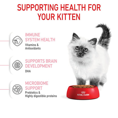 Royal Canin Kitten