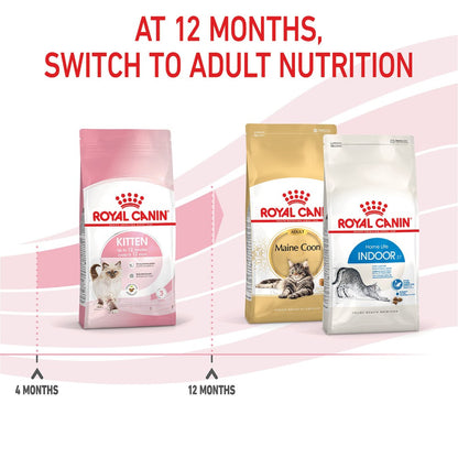 Royal Canin Kitten