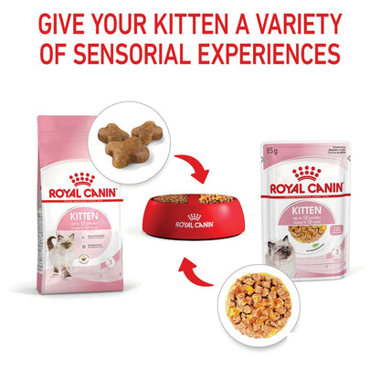 Royal Canin Kitten Instinctive in Jelly