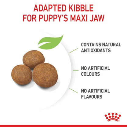 Royal Canin Maxi Puppy (Junior)
