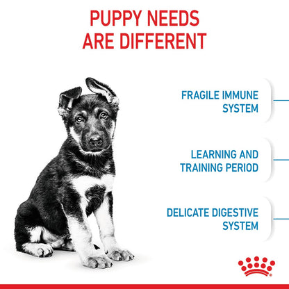 Royal Canin Maxi Puppy (Junior)