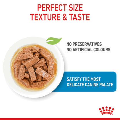 Royal Canin Maxi Puppy Wet Food Pouches