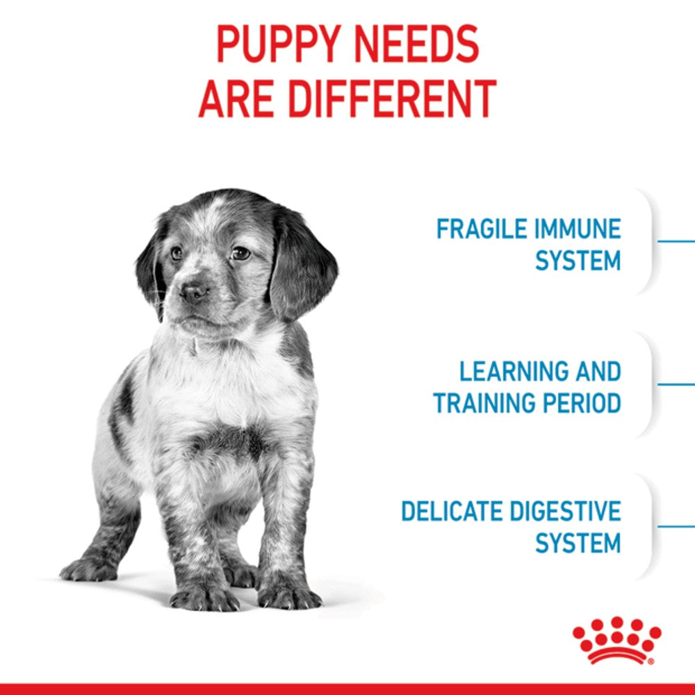 Royal Canin Medium Puppy (Junior)