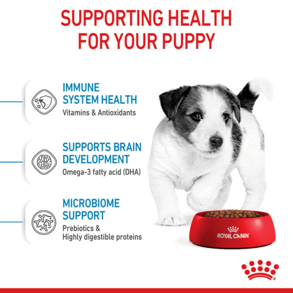 Royal Canin Mini Puppy