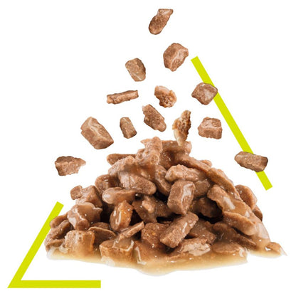 Royal Canin Adult Sensory Smell in Gravy