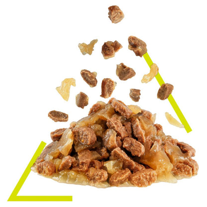 Royal Canin Adult Sensory Smell in Jelly