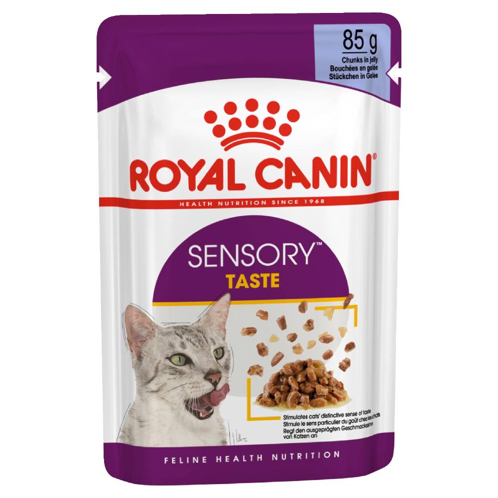 Royal Canin Adult Sensory Taste in Jelly