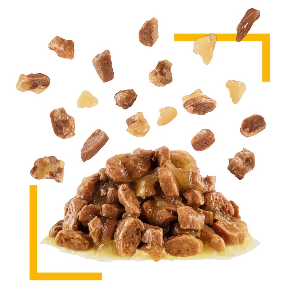 Royal Canin Adult Sensory Taste in Jelly