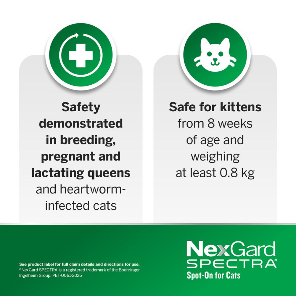 NexGard Spectra Large Cats 2.5-7.5kg Yellow