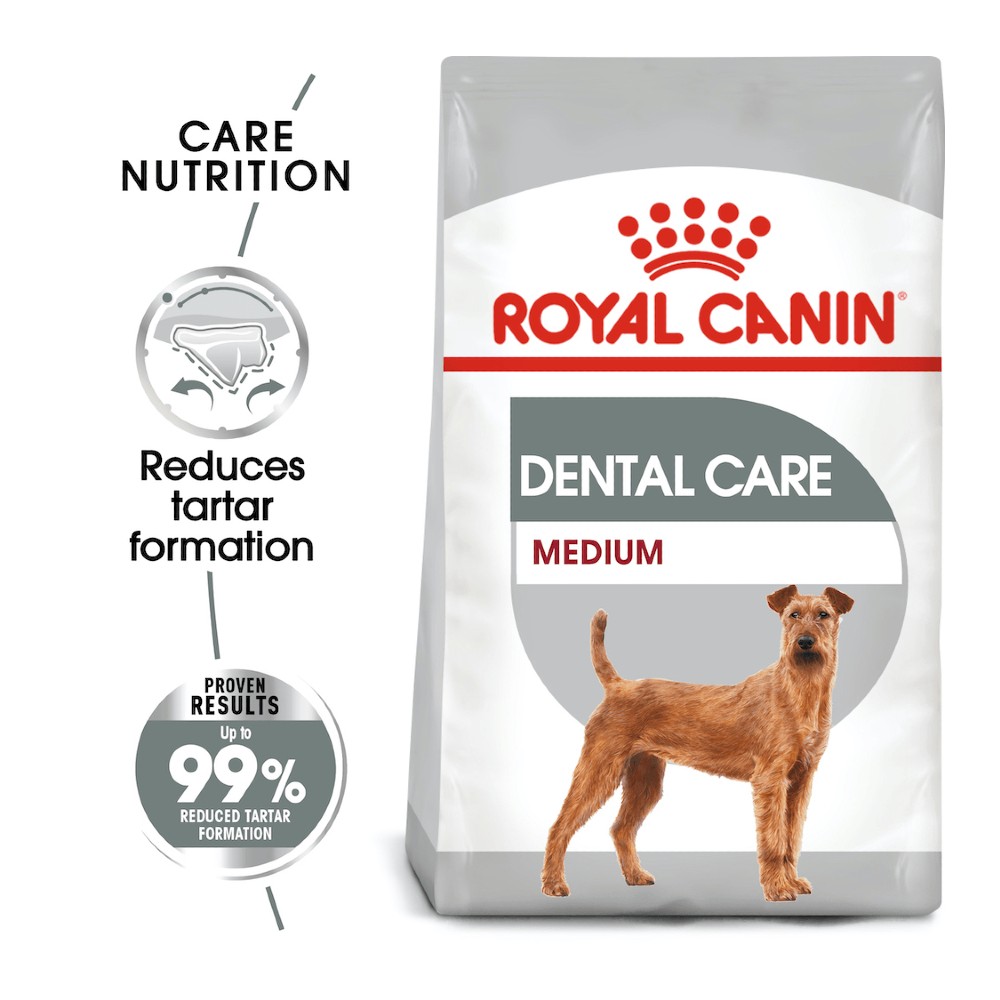 pil weerstand bieden Legende Royal Canin Medium Dental Care Dog Food