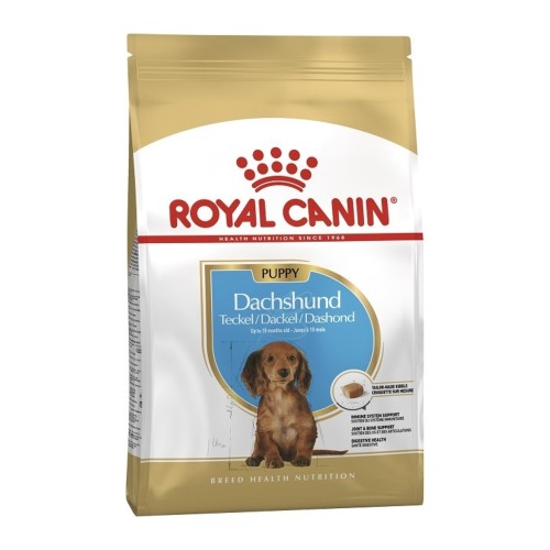 Dachshund wet hot sale food