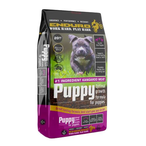 best tasting puppy dog food