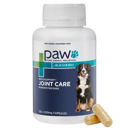 Puppy joint supplements best sale