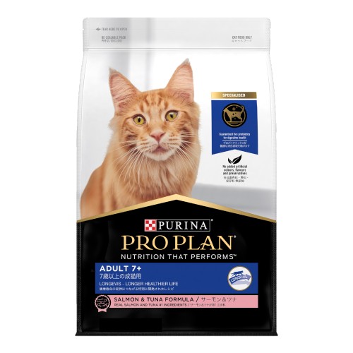 purina pro plan kitten dry food