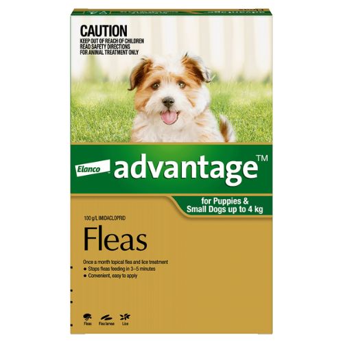 Treat fleas puppies shop under 12 weeks