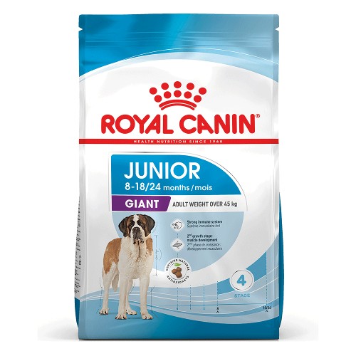 Royal canin junior top cat